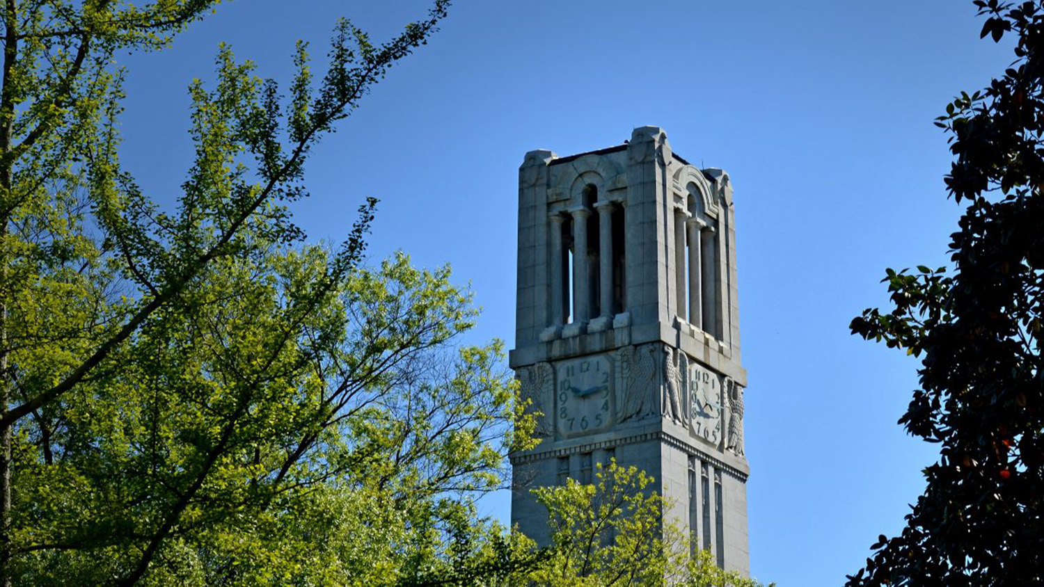 NC State's belltower in spring