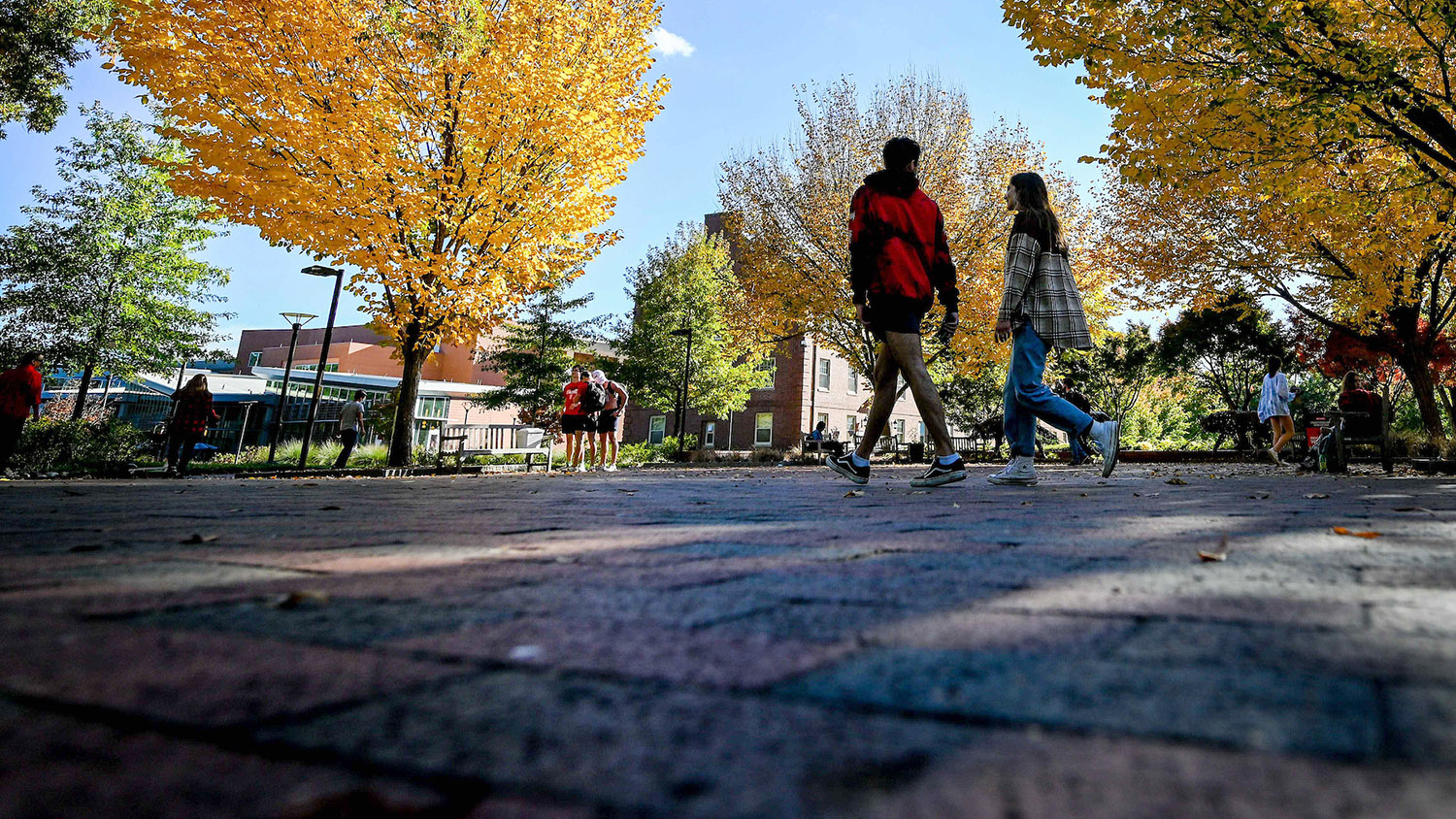 Students stroll through Wolf Plaza on a warm fall afternoon.