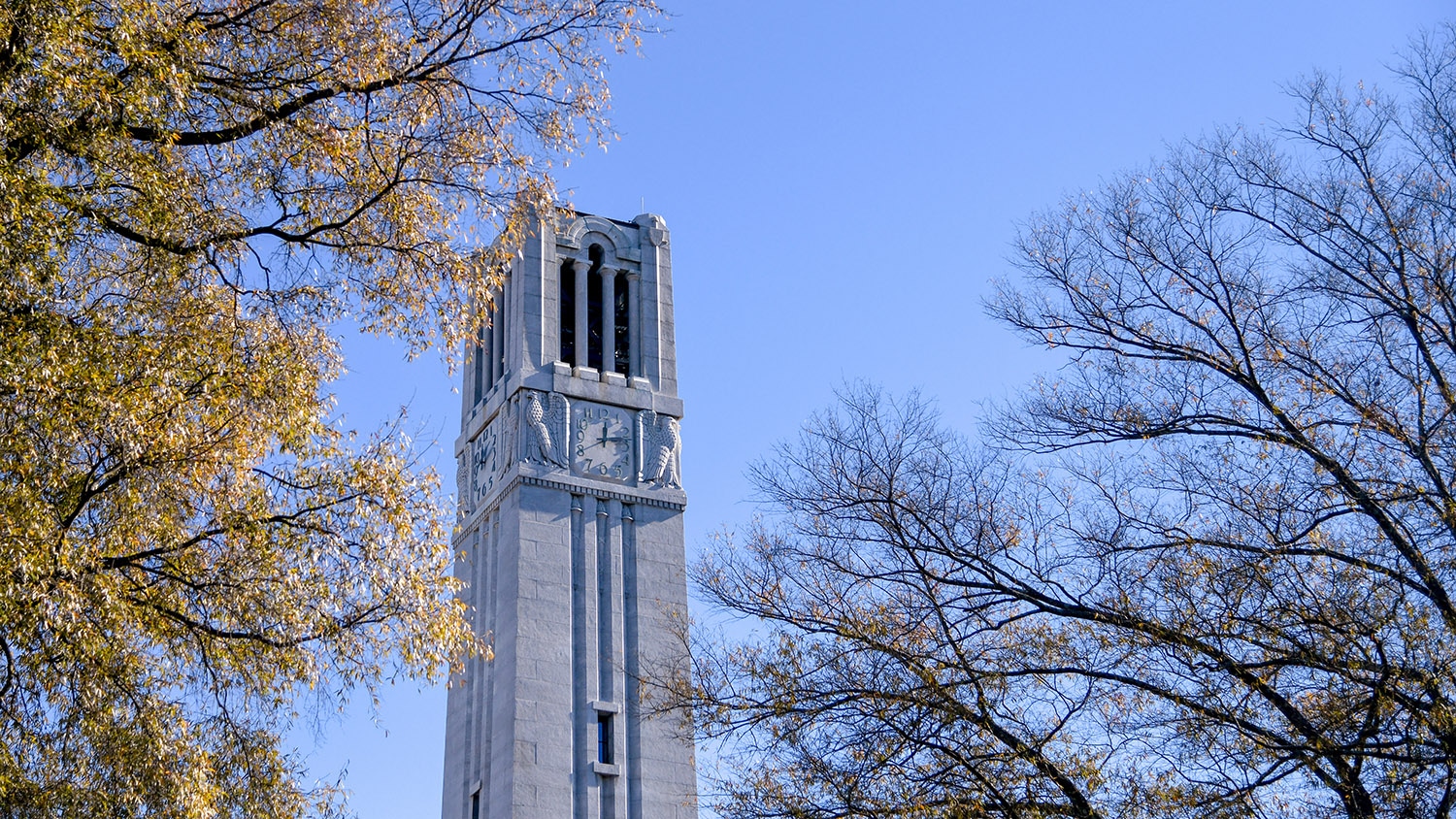 NC State Belltower